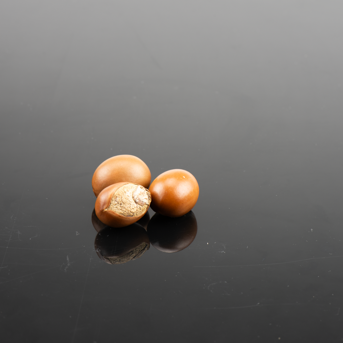 One-ingredient skincare simplicity with LXMI's Pure Nilotica Melt barrier balm