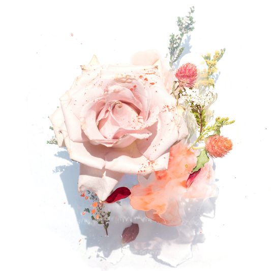 LXMI Scalp Tonic with Organic Moroccan Rose Water.