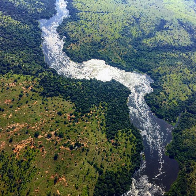 PLANT SAFARI: HOW LXMI 33 IS SAVING THE RAINFOREST