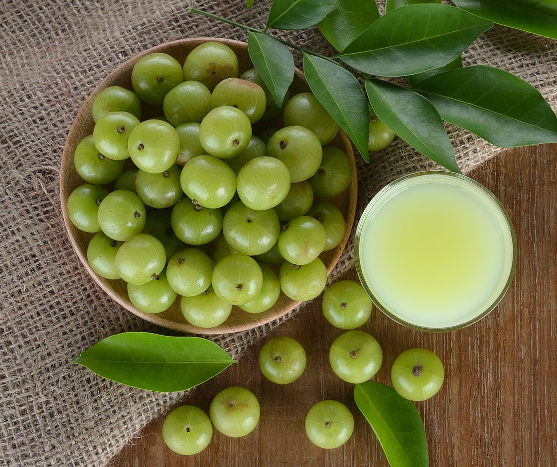 THE POWER BOTANICAL FOR DEWY, SUPPLE SKIN: amla fruit