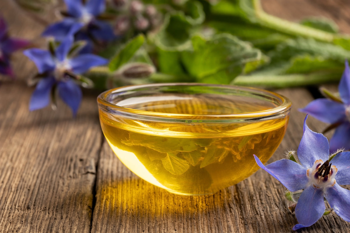 Borage in LXMI 33 Face Oil for healthy glow