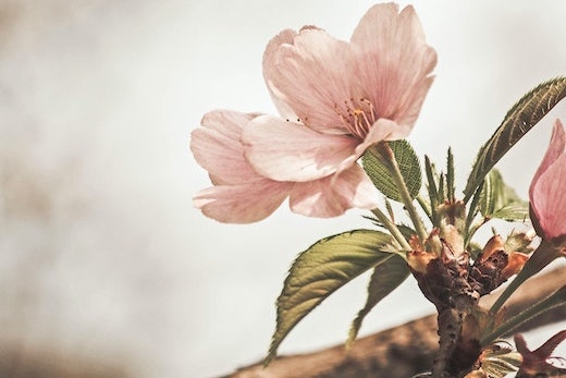 LXMI Blog - Sensitive skin vs. communicative skin