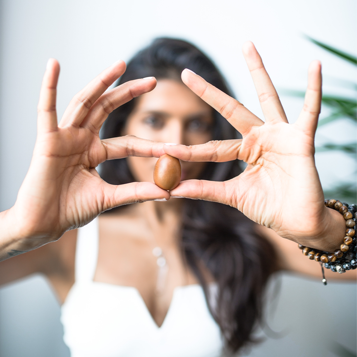 70 cold-pressed Nilotica nuts (that's it!) in each tube of LXMI Pure Nilotica Melt