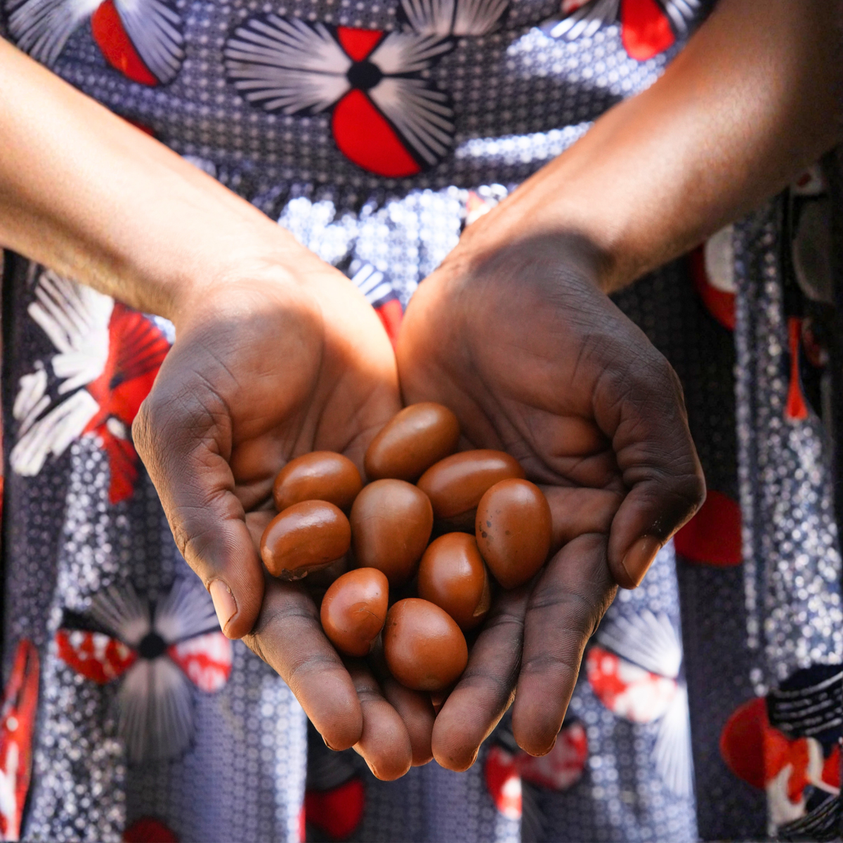 Sourced through women's fair-trade cooperatives in East Africa, LXMI's Pure Nilotica Melt barrier balm does good for your skin and the world