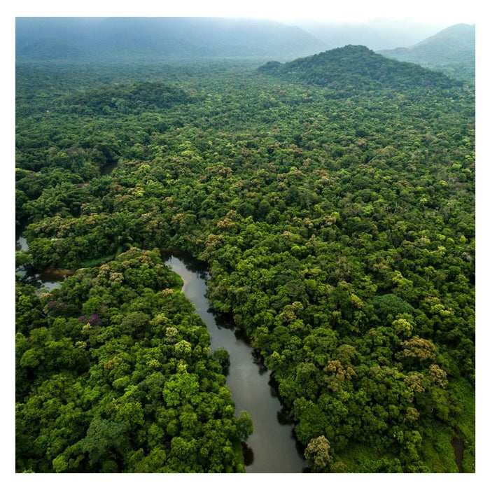 LXMI protecting the Amazon