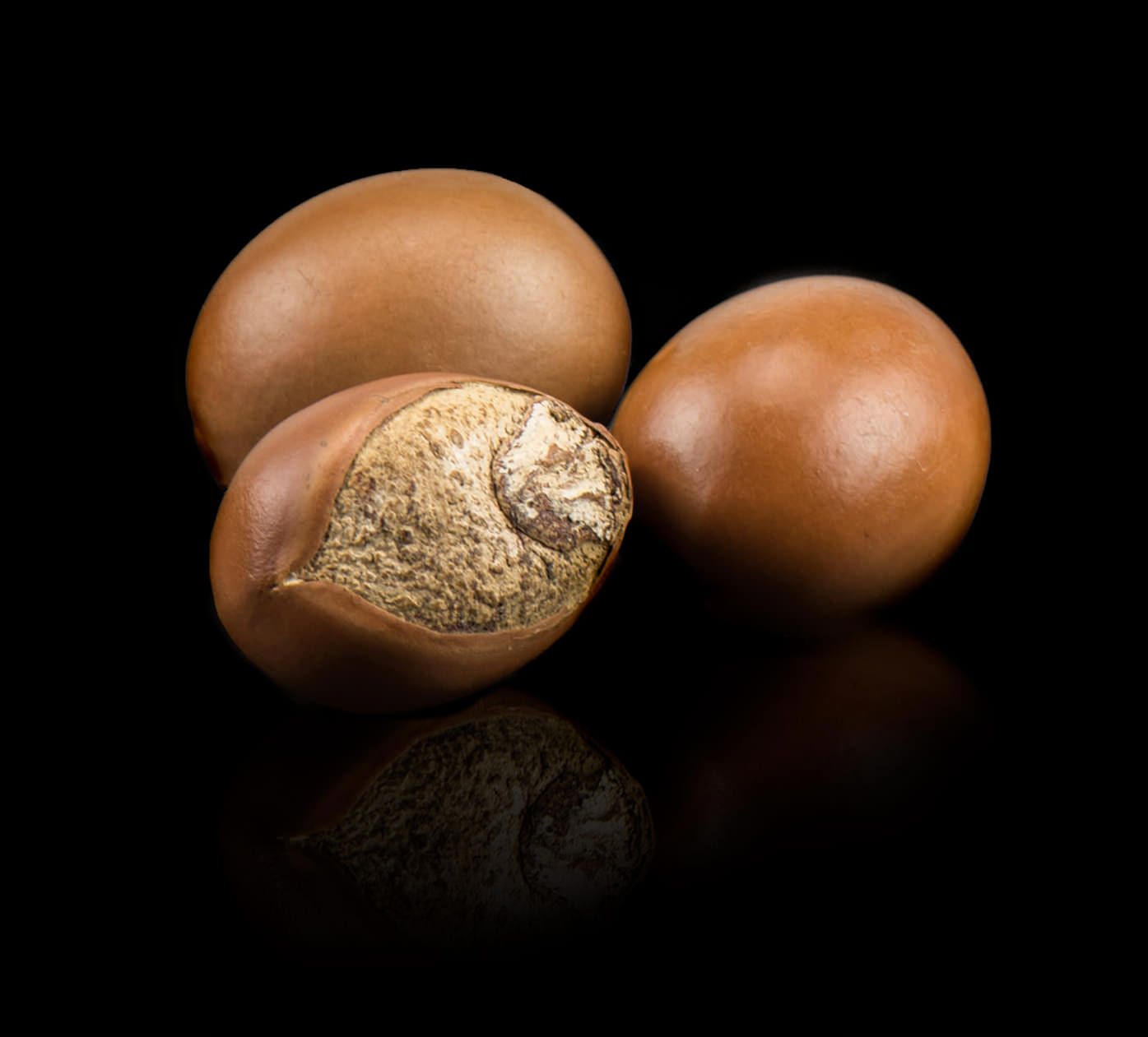 Nilotica nuts
